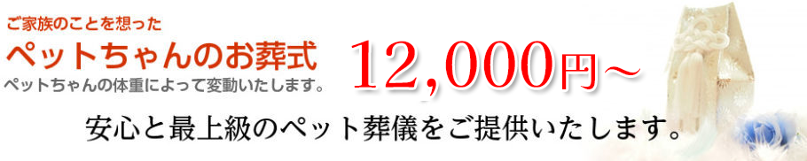 12000円から